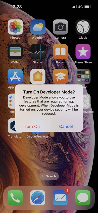 developer mode iphone xr